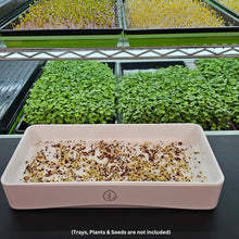 Load image into Gallery viewer, Microgreen seeds planted on the On The Grow 7x14 silicone grow medium inside a tray, with mature microgreens growing on a rack in the background
