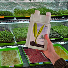 Load image into Gallery viewer, Hand holding Ocean Solution 2-0-3 organic liquid fertilizer in front of microgreens growing on a grow rack
