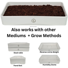 Cargar imagen en el visor de la galería, On The Grow 7x14 tray kit works with coco coir and silicone medium, stackable design, reversible lid weight, hand slot, and humidity dome
