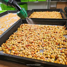 Load image into Gallery viewer, Pea microgreen seeds being watered on the On The Grow 1.7mm large hole reusable silicone grow medium in a grow tray
