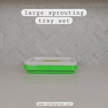 Cargar y reproducir el video en el visor de la galería, Overview video showing the large sprouting tray set and how the silicone reusable grow medium is used
