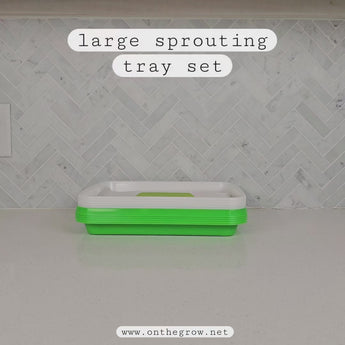 Overview video showing the large sprouting tray set and how the silicone reusable grow medium is used