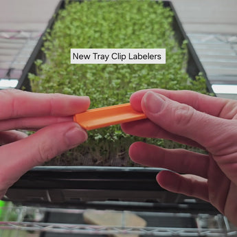 Sunrise Orange - Microgreen Tray Clip Labeler installed on Microgreen Tray - Install