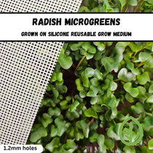 Load image into Gallery viewer, Radish microgreens grown on On The Grow silicone reusable grow medium, 1.2mm holes shown alongside dense green and purple canopy

