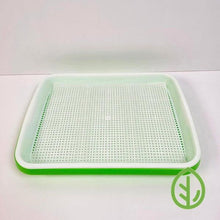 Cargar imagen en el visor de la galería, On The Grow reusable silicone grow medium sitting in a large green sprouting tray, product shot on white background
