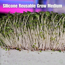 Load image into Gallery viewer, Radish microgreens growing on On The Grow reusable silicone grow medium under pink grow lights, side profile showing root structure

