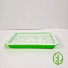 Cargar imagen en el visor de la galería, On The Grow reusable silicone grow medium sitting in a small green sprouting tray, product shot on white background
