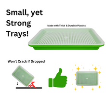 Load image into Gallery viewer, Small sprouting tray kit graphic highlighting thick durable plastic construction and drop-resistant design
