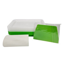 Load image into Gallery viewer, On The Grow small sprouting tray kit with reusable silicone grow medium, green water trays, and mesh inserts on white background
