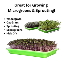 Load image into Gallery viewer, Small sprouting tray kit use case graphic showing microgreens, wheatgrass, cat grass, and sprouting with lush purple radish microgreens
