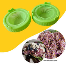 Load image into Gallery viewer, Green sprouting jar lids shown alongside a bowl of fresh sprouts to illustrate use for home sprouting
