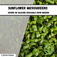 Load image into Gallery viewer, Sunflower microgreens grown on On The Grow silicone reusable grow medium, 1.2mm mesh holes shown alongside thick green canopy
