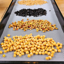 Load image into Gallery viewer, Wheatgrass, sunflower, and pea microgreen seeds laid across the On The Grow 1.7mm large hole reusable silicone grow medium
