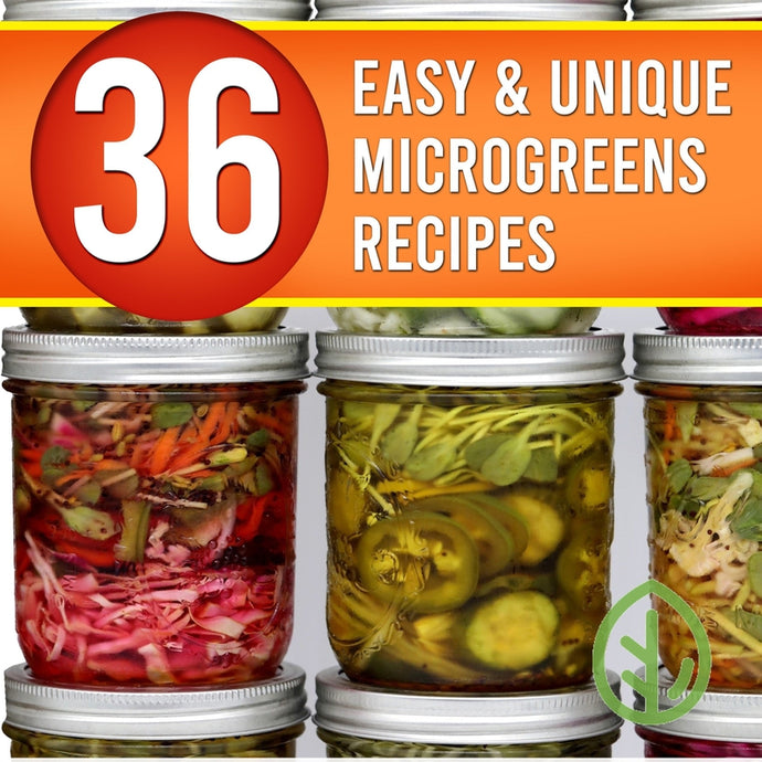 36 Easy & Unique Microgreen Recipes by On The Grow - ebook