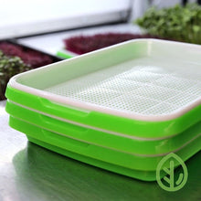 Load image into Gallery viewer, three set large microgreen / sprouting tray set
