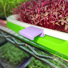 Load image into Gallery viewer, Light Purple Microgreen Tray Clips
