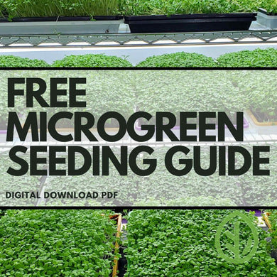 Thumbnail - Free Microgreen Seeding Guide